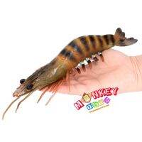 Monkey Toys - โมเดลสัตว์ Tiger Prawn กุ้งกุลาดำ ขนาด 27.50 CM (จากหาดใหญ่)