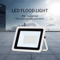 10W 20W 30W 50W 100W LED Flood Light AC 220V Outdoor IP68 Waterproof Floodlight Reflector Garden Projector Spotlight Street Lamp