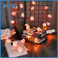 Pethome 5ซม. หลอดไฟ20/40อุปกรณ์ตกแต่งบ้านไฟ LED ในปาร์ตี้แต่งงานดอกไม้โคมไฟนางฟ้าสาย USB ไฟกุหลาบ