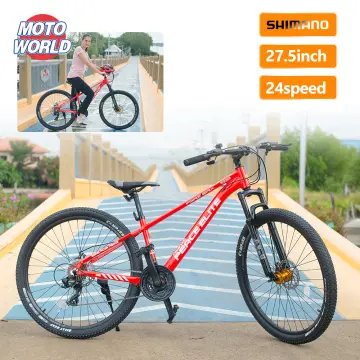 Saiz 2024 mountain bike