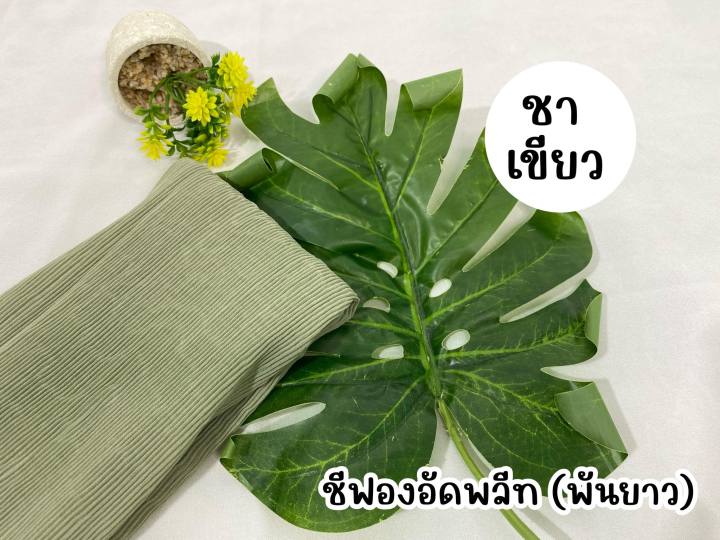 ฮิญาบ-ซีฟองอัดพรีทฟรีเมียร์-สีใหม่