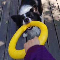 〖Love pets〗 Dog Toys Pet Flying Discs Eva Training Ring For Big Large Dogs Puller Resistant Bite Floating Puppy Outdoor Interactive Supply