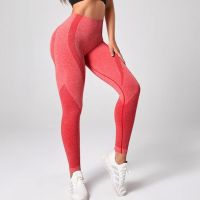 Seamless Yoga Pants Gym Pants Womens High Waist Yoga Pants Hips Tight Peach Buttocks High Waist Leggings Knitted Fitness Pants