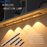 3 in 1 Under Cabinet Lights LED Lights for Kitchen Bedroom Wardrobe Closet Wireless Lamp with Motion Sensor 20/30/40/60cm Ceiling Lights