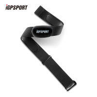 IGPSPORT HR40 Panda-Shapa Inligente Herz Rate Monitor Professionelle Puls HR Brust Tragen Infahrrad คอมพิวเตอร์ APP มือถือ