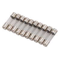 100Pcs 250V 0.2A 200MA Quick Fast Blow Glass Fuses Tubes 5mm x 20mm