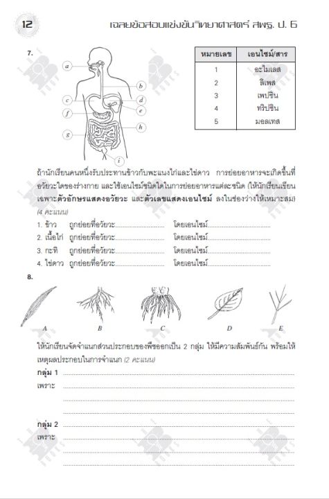 เฉลยข้อสอบแข่งขันวิทยาศาสตร์-สพฐ-ป-6