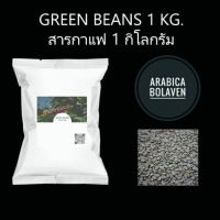 Arabica Bolaven Plateau Laos :สารกาแฟอราบิก้า โบลาเว่น ปากซอง ลาว #สารกาแฟปากซอง #อราบิก้า