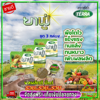 ?ส่งฟรี ? ยาฟู่ (ยะฟู่) เทอร์ร่าปุ๋ย ( 3 กล่อง) ปุ๋ยฮอร์โมน กรดอะมิโนสูง สำหรับพืชทุกชนิด บำรุงใบ บำรุงราก ลำต้นแข็งแรง โมซ่าส์