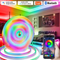 Explosive Tuya Smart Wifi LED ไฟแถบนีออน RGB 12V กันน้ำ RGBIC Dream Color Chasing เทปเชื่อมเพลงบลูทูธระยะไกล