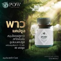 POW Herbal Capsule พาว เฮอร์เบิล แคปซูล พาว สารสกัดพลูคาวแบบเม็ด มีพลูคาว เบต้ากลูแคนและอื่นๆ อีก 11 ชนิด อาหารเสริมเพื่อสุขภาพ เสริมภูมิคุ้ม