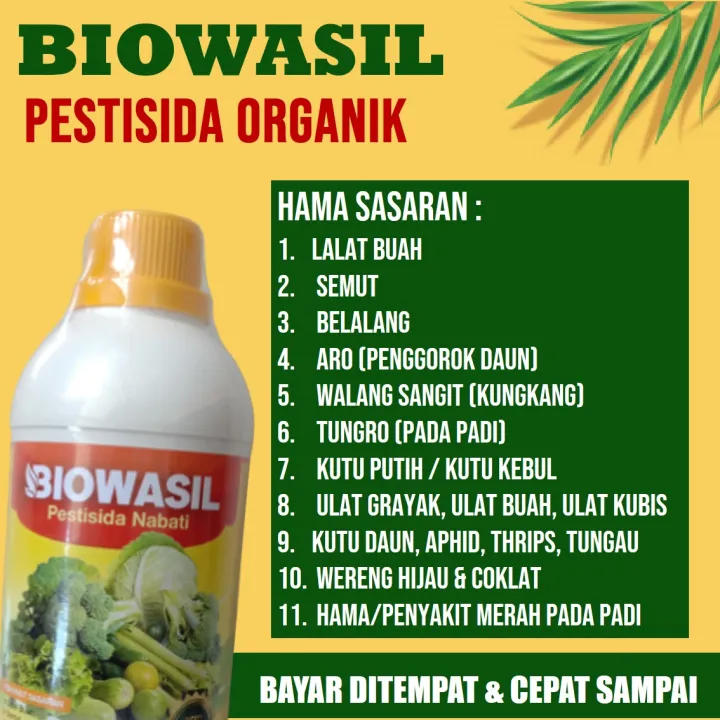 Pestisida Nabati BIOWASIL Obat Hama Ulat Buah, Kungkang, Kutu Kebul ...