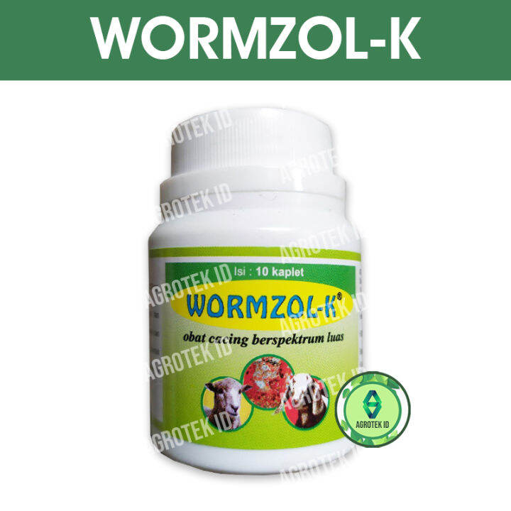 WORMZOL-K Obat Cacing Ternak 10 Kaplet | Lazada Indonesia