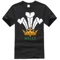 Modern Welsh Feathers Rugby Wales Graphic T-Shirt Adult Teen Unisexb IG3I