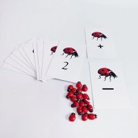 Montessori Math Material Montessori Ladybug Number Math Toys Flash Cards Educational Learning Toys for Children MJ1044H Flash Cards