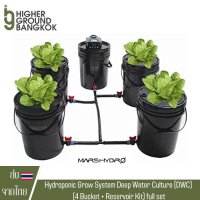 ชุดปลูกครบเซ็ท Hydroponic Grow System Deep Water Culture (DWC) Complete Kit (4 Bucket + Reservoir Kit) full set