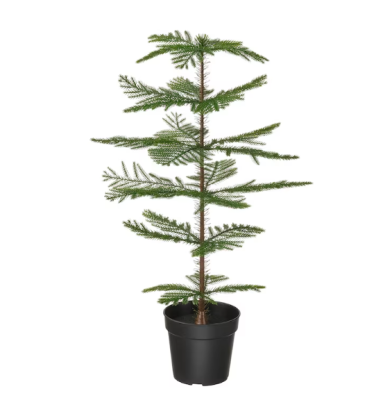 Artificial potted plant, in/outdoor Norfolk island pine, 15 cm.