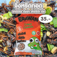 แมลงทอด ขนมจิ้งหรีดทอดมี4รส ตราเอราวัณ ERAWAN ราคาถูกที่สุด