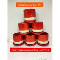 กระถางเซรามิค เคลือบแดง Mandarin Red (ทูโทน) 3 นิ้ว พร้อมจานรอง ยกเซต 6 ชุด 199.-