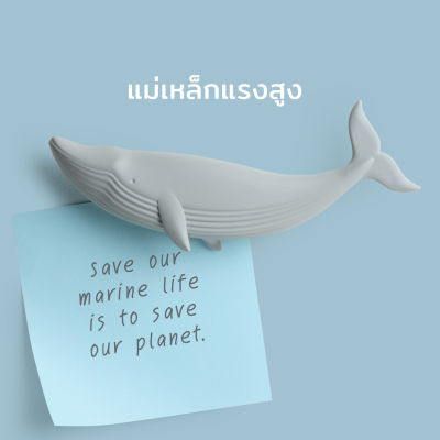 Qualy Design - Blue Whale Magnet - แม่เหล็กแรงสูง รุ่นวาฬ แม่เหล็กติดโน๊ต แม่เหล็กติดตู้เย็น