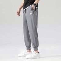 NGHG MALL-Ice Silk Pants Thin Four Sided Elastic Mens Comfortable Versatile Trendy Pants Casual Sports Summer Mens Pants