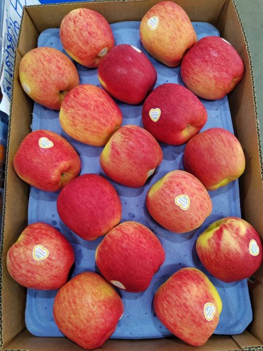 แอปเปิ้ล-แอมโปรเซีย-นิวซีแลนด์-ambrosia-nz-30-35-ลูก-ลัง-นำเข้าจากนิวซีแลนด์