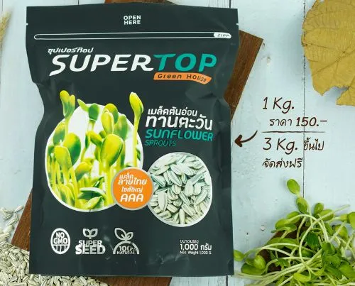 เมล็ดต้นอ่อนทานตะวันลายไทยS01 (อวบใหญ่คัดพิเศษ) เมล็ดทานตะวัน SuperTop ของแท้100% (1กิโลกรัม) 💯 💯