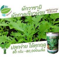 (promotion++) ผักกาด เขียวน้อย ผักกาดหิ่น ผักวาซาบิ (Mustrad Green) 80,000 เมล็ด 80กรัม #ลาบ #วาซาบิ #เขียวน้อย #ผักกาดสร้อย สุดคุ้มม ต้นไม้ ฟอก อากาศ กระถาง ต้นไม้ ไม้ ประดับ ต้นไม้ ปลูก ใน บ้าน