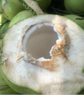 มะพร้าวน้ำหอมแท้ 100% จากสวนนันทวัลย์  Coconut  Water  สดใหม่จากต้น น้ำหอมหวาน จากธรรมชาติ