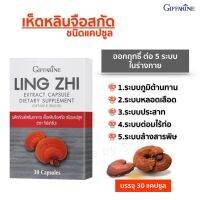 ส่งฟรี!! เห็ดหลินจือ ชนิดแคปซูล ตรากิฟฟารีน Ling Zhi Extract (30 แคปซูล) กิฟฟารีนของแท้