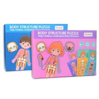 1Set Kid’s Education Multi-layer Puzzle Learning Toy Anatomy Game Board 3D Human Body Puzzle Jigsaw Organ Tangram Toy