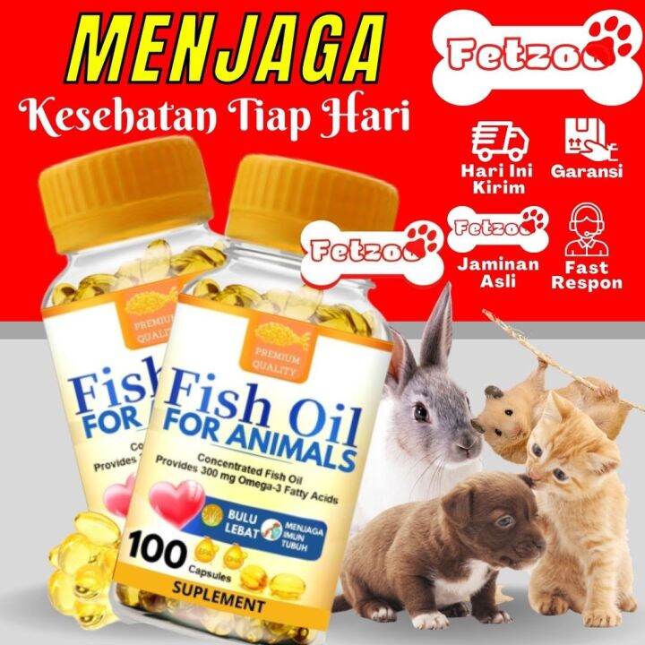 Minyak Ikan Kucing dengan Kombinasi Omega3 dan Omega6 untuk
