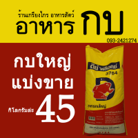 อาหารกบ กบใหญ่