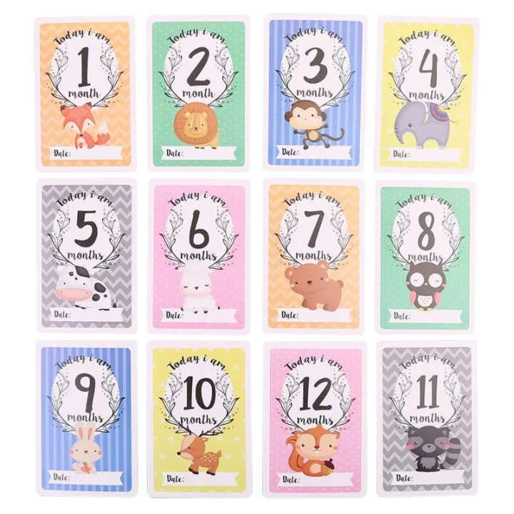 12 Sheet Milestone Photo Sharing Cards Gift Set Baby Age Cards - Baby ...