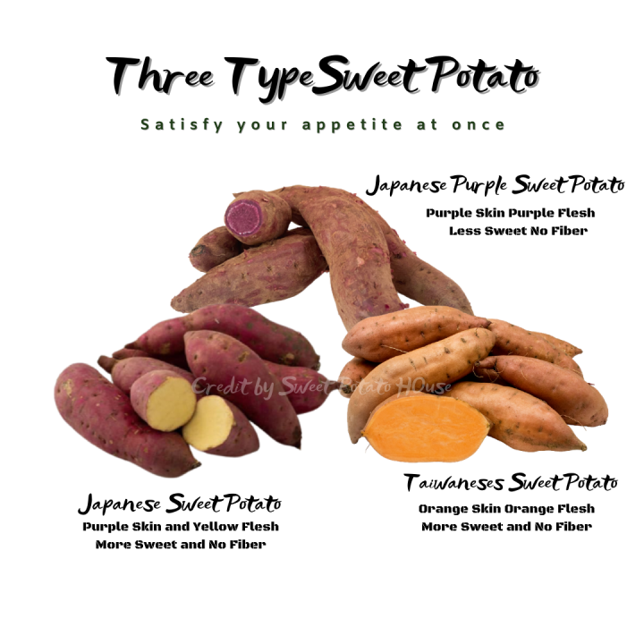 Japanese Sweet Potato Purple Sweet Potato Taiwanese Sweet Potato Lazada