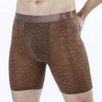 Summer Ultra-Thin Viscose Knicker Men Lengthen Anti-Wear Leg Anti-Crimping Boxers Breathable Sexy Boxers Large Size Fashion