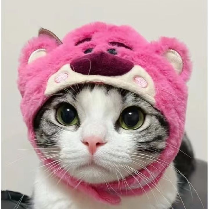 smilewil-หมวกแมว-หมวกหมา-หมวกแฟนซี-น่ารัก-สีสันสวยงาม