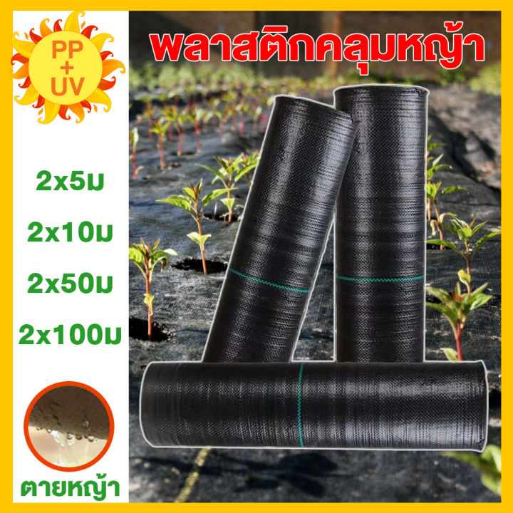 ผ้าคลุมกันหญ้า-2-5-2-10-2-50-2-100-พลาสติกคลุมดิน-ผ้าใบคลุมดิน-ผ้าคลุมดินหญ้า-แผ่นคลุมวัชพืช-พลาสติกคลุมหญ้า-ผ้าคลุมดินกันวัชพืช-ผ้าคลุมดินป้องกันวัชพืช-แผ่นกันวัชพืช-ผ้าใบคลุมหญ้า