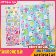 Tấm Lót Chống Thấm Sơ Sinh, 2 Lớp Size To, Tiện Lợi, Lau Khô, Giá Rẻ