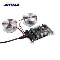 AIYIMA ลำโพงระบบสั่นเสียงสะท้อน25W แบบพกพา2นิ้ว TPA3118เครื่องขยายเสียง5.0บลูทูธ DC 12V 5A