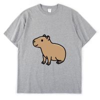 【New】ใส่ ons capybara ฮาราจูกุแฟชั่นน่ารักสัตว์พิมพ์ U nisex ฤดูร้อนแขนสั้นลำลองกีฬาคู่ออกแบบซอกเสื้อยืด