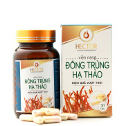 viên nang nấm Đông Trùng Hạ Thảo HECTOR- Hỗ trợ tăng cường sức đề kháng