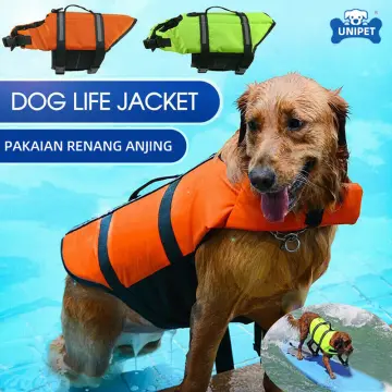 Swim shorts outlet for dogs