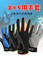 【Original import】 Diving gloves summer free diving snorkeling professional swimming special fishing riding breathable underwater equipment surfing mens