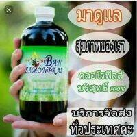 คลอโรฟิลล์ Chlorophyll อัลฟัลฟ่า ชนิดน้ำสชนิดเข้มข้น แท้100%( 2 ขวด )