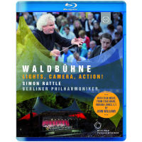 2015 Wembley forest concert in Berlin: movie night Simon lat / Berlin Philharmonic 25g