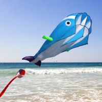 Boys Girls Kids New Huge 3D 1.2*2.1m Single Line Dolphin Sport Flying Kite Outdoor