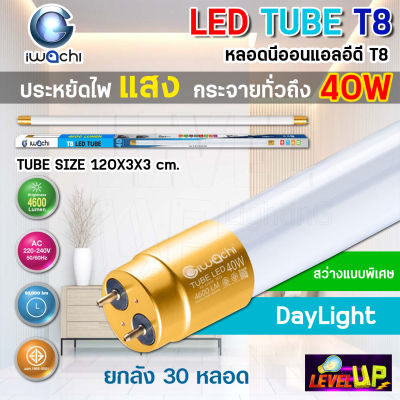 (ยกลัง) IWACHI หลอดไฟนีออน หลอดประหยัดไฟ LED TUBE T8 40W ขั้วสีทอง หลอด LED ยาว หลอดไฟในบ้าน สว่างเต็ม 4,600 LM หลอดไฟยาว (แสงสีขาว DAYLIGHT)