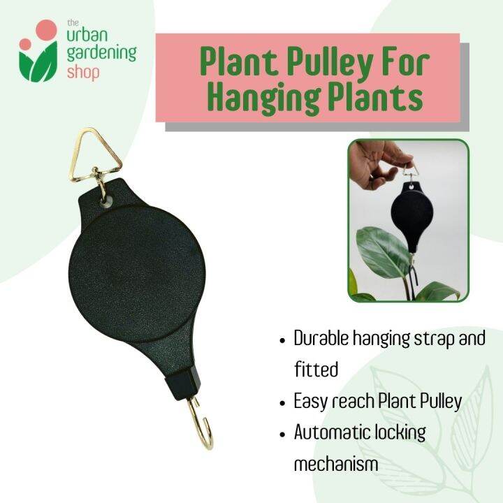 RETRACTABLE PLANT PULLEY For Hanging Plants/ THE URBAN GARDENING SHOP ...