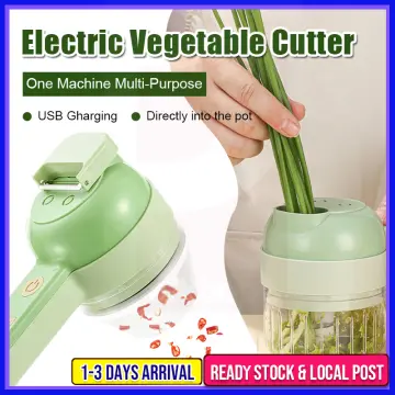 1pc 4 In 1 Vegetable Chopper Handheld Electric Vegetable Cutter Set  Portable Wireless Garlic Mud Masher Garlic Press And Slicer Set